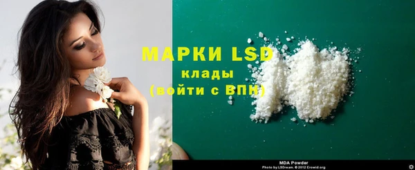 спайс Аркадак