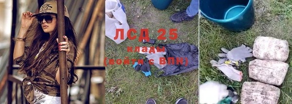 спайс Аркадак